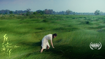 《绿色海洋》入围英国瑞丹斯电影节短片竞赛单元(图3) 《绿色海洋》入围英国瑞丹斯电影节短片竞赛单元(图3)