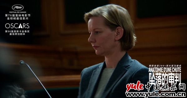 电影《坠落的审判》今日上映 影后桑德拉·惠勒全中文问好尽显诚意(图8)