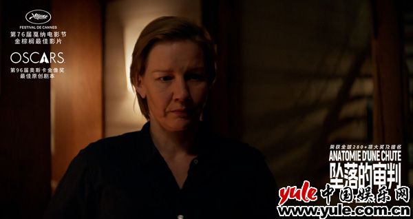 电影《坠落的审判》今日上映 影后桑德拉·惠勒全中文问好尽显诚意(图9)