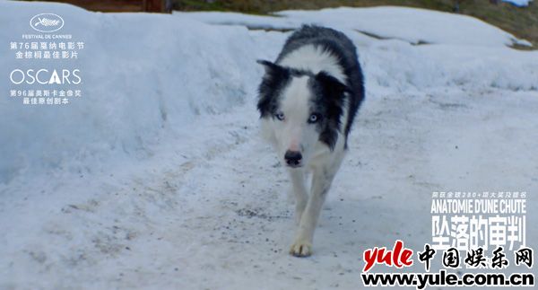 电影《坠落的审判》今日上映 影后桑德拉·惠勒全中文问好尽显诚意(图2)