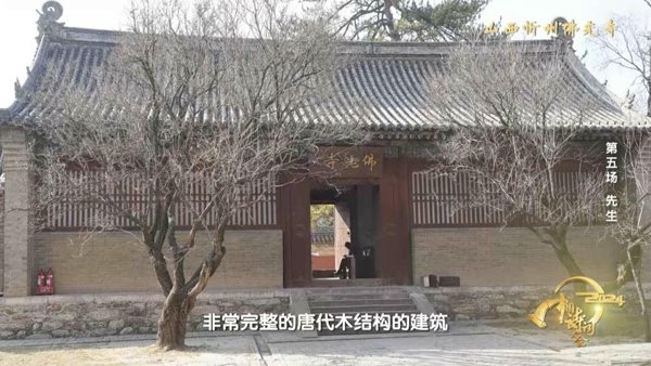 《2024中国诗词大会》山高水长致敬“先生”(图12)