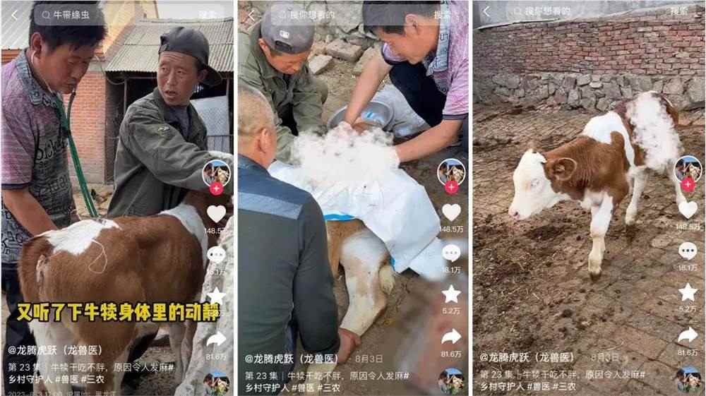 素人手艺人在短视频平台批量崛起，家电华佗等案例揭秘涨粉密码(图5)