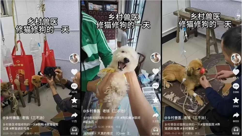 素人手艺人在短视频平台批量崛起，家电华佗等案例揭秘涨粉密码(图7)