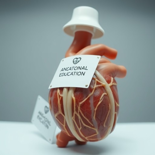 婴儿成为北大最年轻大体老师引发生命教育深层思考(图3)