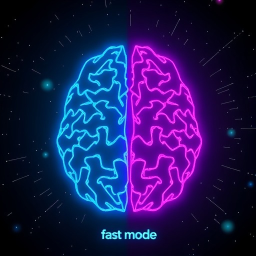 国产大模型新交互模式解析：快速与专家模式差异及未来展望