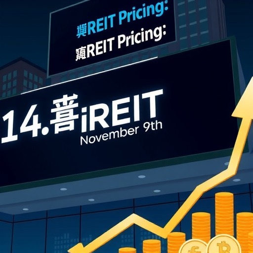 华润有巢REIT询价定档11月9日 网下发售1.4亿份(图1)