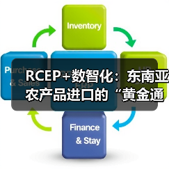 数智化赋能RCEP农产品贸易革新(图3)