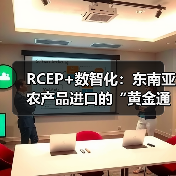 数智化赋能RCEP农产品贸易革新(图4)
