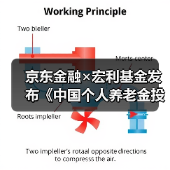 个人养老金投资：制度发展与资产配置优化探讨(图1)