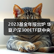 机构增持ETF布局核心资产 三大基金持仓创新高(图3)