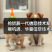 信息技术ETF布局新机遇 把握行业高成长性(图4)