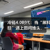 冷链物流4.0技术：智能温控与新能源引领行业革新(图4)