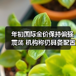 国际金价持续走高 避险资产配置价值凸显(图2)