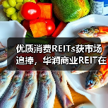 优质消费REITs获市场追捧,华润商业REIT在深交所成功上市(图2) 消费基础设施REITs规模首单 青岛万象城资产引资69.02亿(图2)