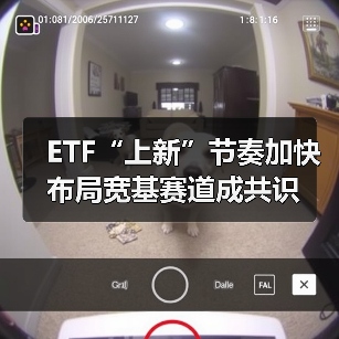 宽基ETF赛道加速扩容，头部基金布局新机遇(图2)