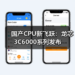 国产CPU自主可控突破：龙芯3C6000系列性能引领(图4)