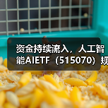 人工智能ETF净流入破亿，AI产业政策红利显现(图3)