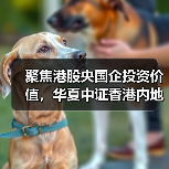 港股央企ETF投资机会分析(图4)