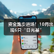 A股强势反弹引基金发行热潮 股票型基金受捧(图2)