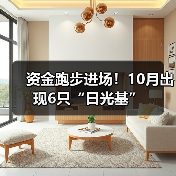 A股强势反弹引基金发行热潮 股票型基金受捧(图1)