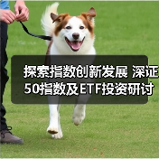 ETF投资机遇凸显 深证50指数引领行业创新(图1)
