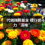 银行代销中证A500基金引爆四季度财富管理热潮(图1)