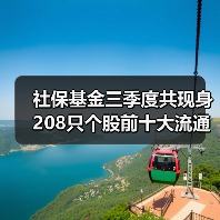 社保基金最新持股动态：行业分布与持仓市值分析(图3)