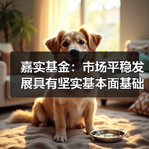 中央汇金扩大ETF增持A股配置价值提升(图4)