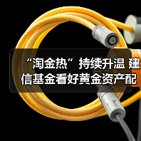 黄金行情延续 投资配置价值凸显(图2)