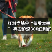 红利ETF规模激增，沪深300红利低波指数领涨(图2)