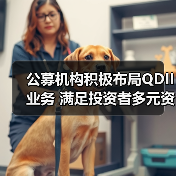 银河基金申请QDII资格 公募机构布局全球资产配置(图2)