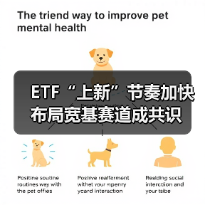 宽基指数ETF扩容加速，布局新趋势开启(图3)