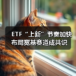 宽基指数ETF扩容加速，布局新趋势开启(图1)