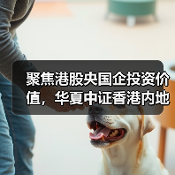 港股央企中特估投资机遇显现(图3)