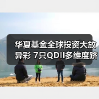 华夏基金全球投资大放异彩 7只QDII多维度跻身同类前10(图3) 海外投资持续升温 QDII基金领涨市场解析(图3)