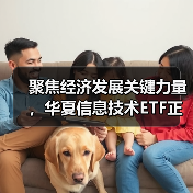 聚焦经济发展关键力量,华夏信息技术ETF正在发行中(图2) 华夏信息技术ETF布局新机遇 投资价值凸显(图2)