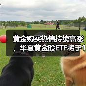 黄金涨势延续 黄金股ETF发行引关注(图4)