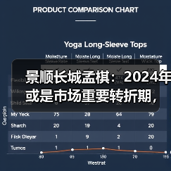 景顺长城孟棋:2024年或是市场重要转折期,成长方向机会很多(图2) 2024年投资关键:供给侧出清与创新成长机遇(图2)