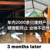 年内2000余只理财产品被提前终止 业绩不达预期和规模下降成主因(图4) 年内2000余只理财产品被提前终止 业绩不达预期和规模下降成主因(图4)