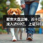 聚焦大盘蓝筹，近十日流入近60亿，上证50ETF规模超720亿元(图2)