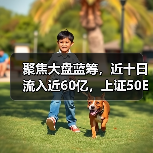 聚焦大盘蓝筹，近十日流入近60亿，上证50ETF规模超720亿元(图3)