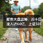 聚焦大盘蓝筹，近十日流入近60亿，上证50ETF规模超720亿元(图4)