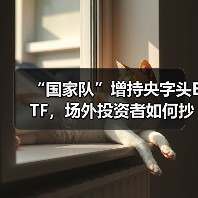 “国家队”增持央字头ETF，场外投资者如何抄作业？(图4)