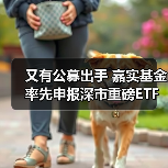又有公募出手 嘉实基金率先申报深市重磅ETF(图4)