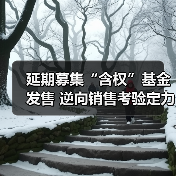 延期募集“含权”基金发售 逆向销售考验定力(图1) 延期募集“含权”基金发售 逆向销售考验定力(图1)