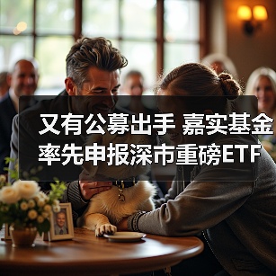 又有公募出手 嘉实基金率先申报深市重磅ETF(图1)