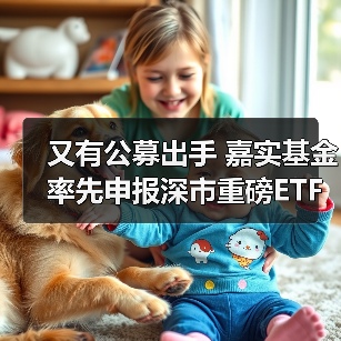 又有公募出手 嘉实基金率先申报深市重磅ETF(图3)