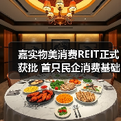 嘉实物美消费REIT正式获批 首只民企消费基础设施公募REITs将发行(图1)