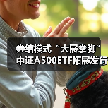 券结模式“大展拳脚” 中证A500ETF拓展发行新生态(图4)