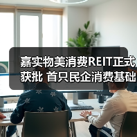 嘉实物美消费REIT正式获批 首只民企消费基础设施公募REITs将发行(图2)